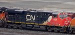 CN 2920